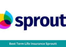 The Best Term Life Insurance: An In-depth Review of Sproutt
